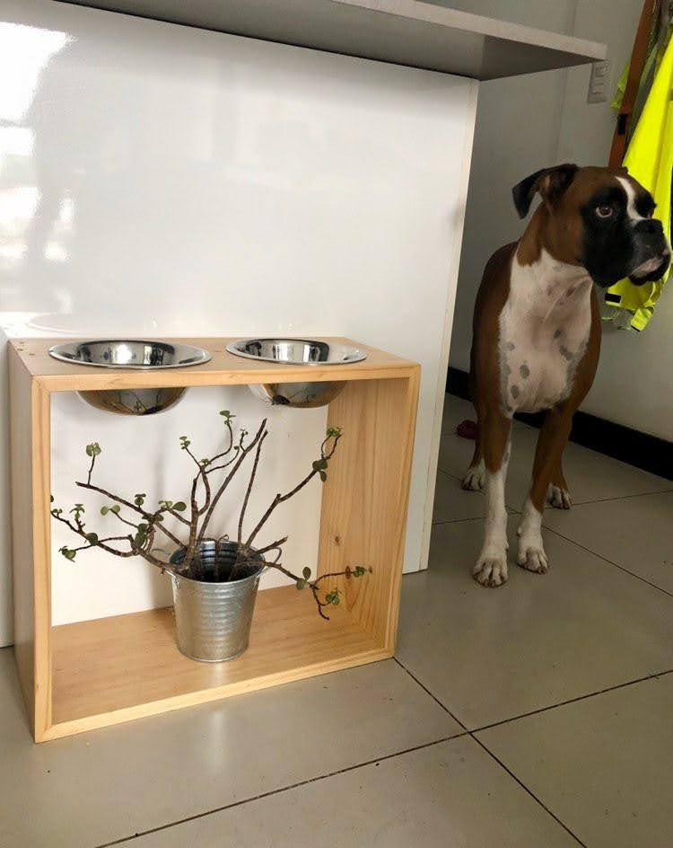 Comedero Box - grande